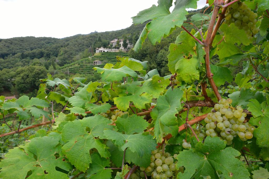 Agriturismo Crodi Miane المظهر الخارجي الصورة